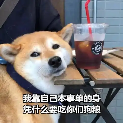  魏晨郑凯官宣领证比起一见钟情,更难的是一生钟情