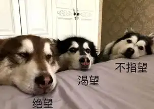  这首中年人之歌火了算上狗我排行老八哈哈哈油腻的中年生活了解一下