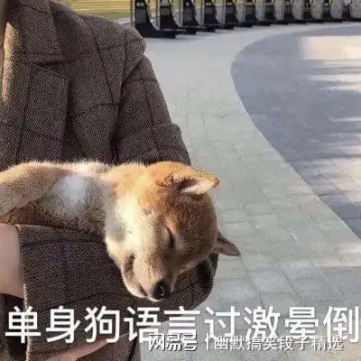  幽默笑话去小姨子家里串门,只有妹夫在家和他聊了几句