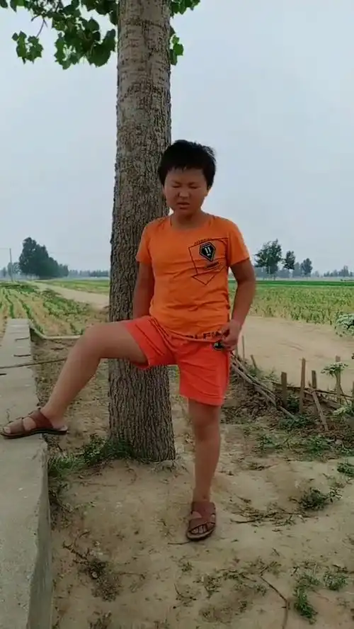 qq六点骰子表情包沙漠骆