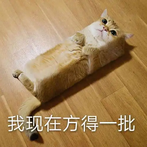 要玩游戏吗表情包表情包