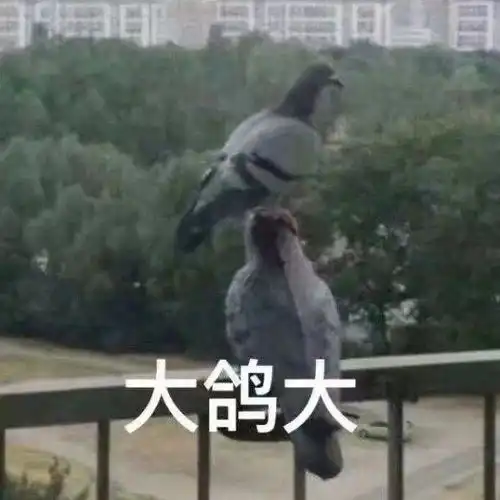 洗冷水澡搞笑表情包表情
