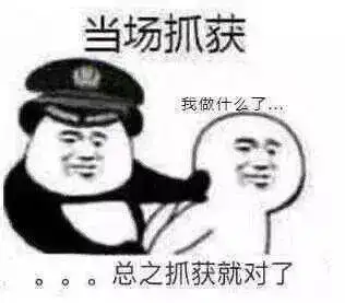  熊猫头表情包当场抓获当场逃脱反手逮捕当场击毙