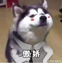  提升秋招竞争力的重要途径如何获得一份高质量的银行实习