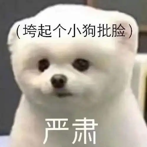  立帖为证我再也不嗑bg了