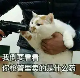  摩根大通2020秋招网申打游戏,看到第一题我就方了
