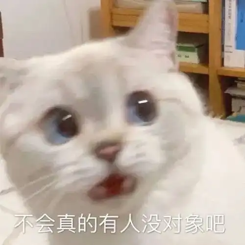  微信聊天套路表情包肥宅表情包斗图熊猫头表情包小动物表情包