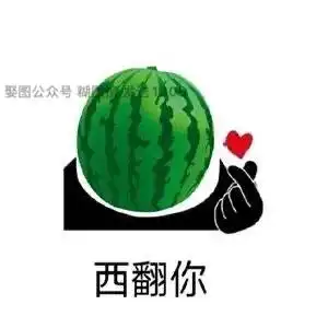  水果谐音梗表情包丨橙交表情包