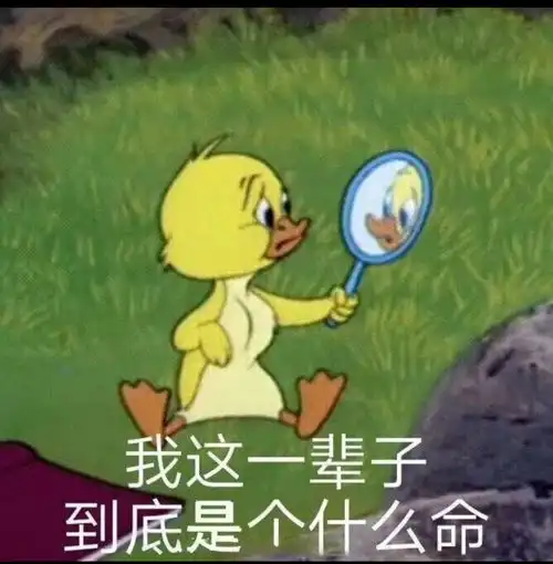分一点运气给你表情包沙