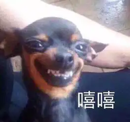  吉娃娃的表情包我乖巧的微笑着