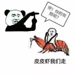  爆红的皮皮虾,我们走到底是什么鬼