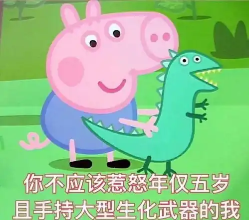  经历了双11,我发现我多半是个傻子吧
