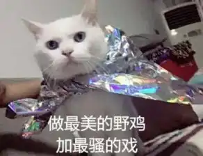  你可能不信,这些老实人才是当代聊骚界的巨头