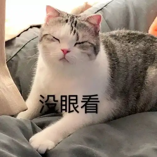  我没有不开心