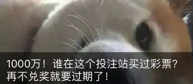 披被子的图片表情包讲真