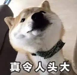 猫猫表情包高清开学