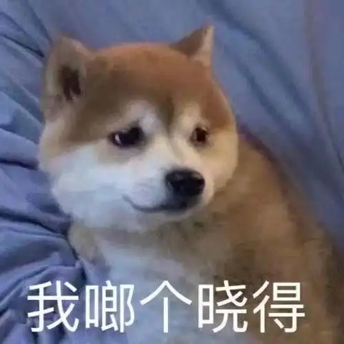  搞笑表情包图片你肯定有事瞒着我,牛奶我只喝现挤的