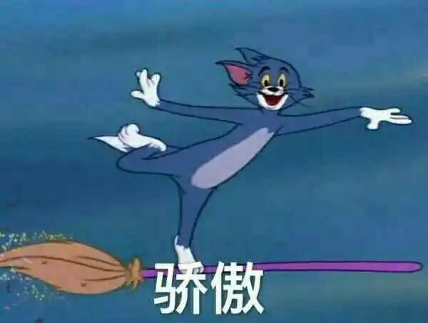 橙交表情包什么意思猫和