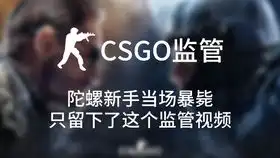  csgo此时一位帅气的陀螺当场暴毙