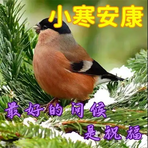  2022小寒早上好动态表情图片大全,祝大家小寒快乐祝福语大全简短语句
