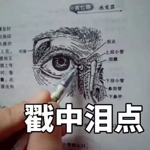  给医学新生的12条入学建议