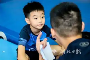  杨威杯体操赛杨阳洋助阵爸爸客串小主持