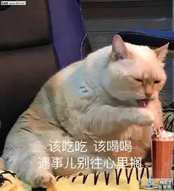  该吃吃该喝喝缘分到了自然瘦图片买一个大西瓜送一个小傻瓜表情包下载乐游网游戏下载