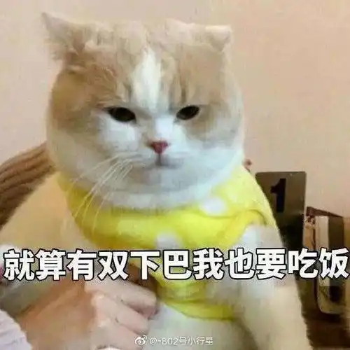  真诚求问菠菜怎么吃