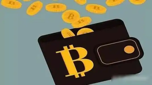 币达数字钱包干货分享冷钱包和热钱包的区别