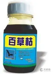  山东大学齐鲁医院怎么样地址天眼查