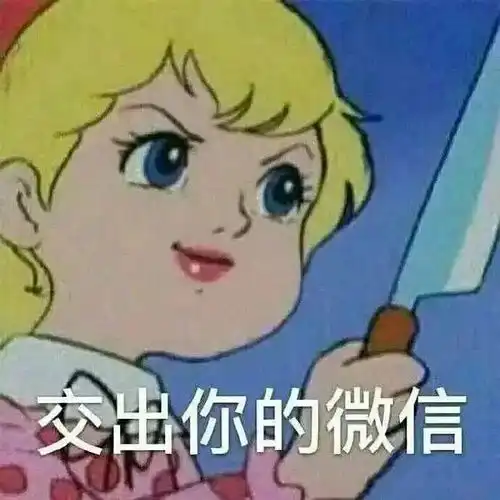 橙交表情包什么意思skr