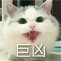 可爱猫咪表情包斗图专用