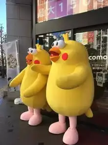  为什么祝你鸡年大吉鹦鹉兄弟