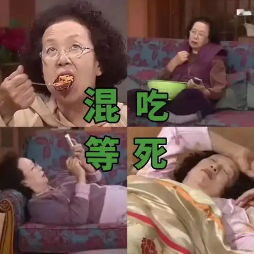 追剧的表情包罗文姬