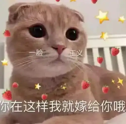  表情表情包在线等一个靓仔表情