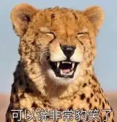  南京20岁女大学生坐反公交,暴雨梨花式哭着报警听完忍不住哈哈哈
