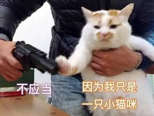  什么人设都会倒,洋洋怕鬼易受惊人设永不倒