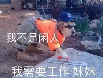  19年毕业,家里蹲快一年