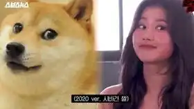  twice抖音合集