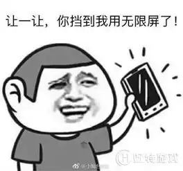  闪开挡住我看无限屏了表情包闪开挡住我看无限屏了表情包大全好特教程