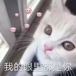  超皮表情包我有全世界最可爱的肚肚,还有我的眼里都是你