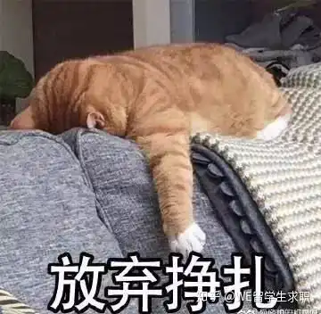  浪潮网上测评没通过腾讯线上面试开启,浪潮开始春招,留学生必看的2020互联网增长点......
