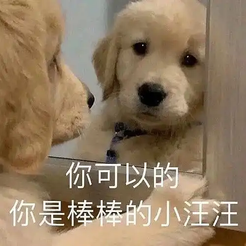  实用