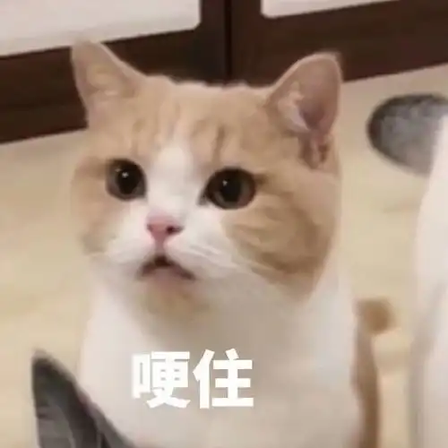  考研二战失败无路可走其实,我远比自己想得更加优秀