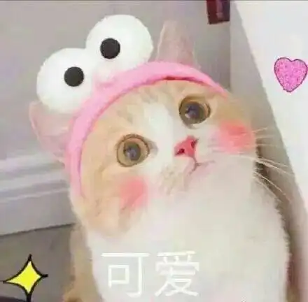  爱上一个人就会无止境偏爱你的四大星座