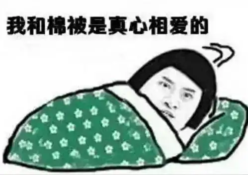  气温终于要回升了,这几天全靠一口仙气吊着