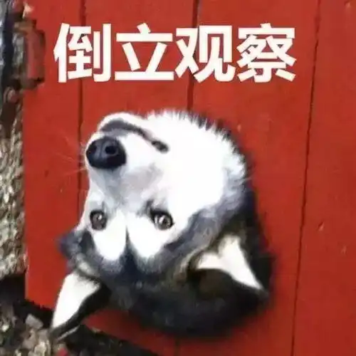  科目三怎么改都是考细节记住这些不再丢分