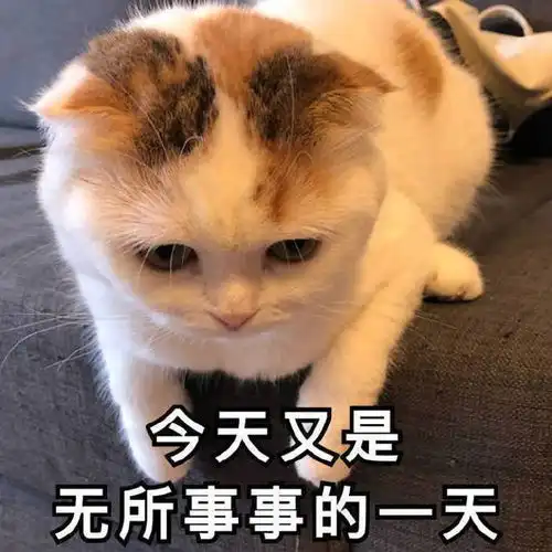  搞笑沙雕表情包美丽就是我的武器,等我喝口水再攻击你