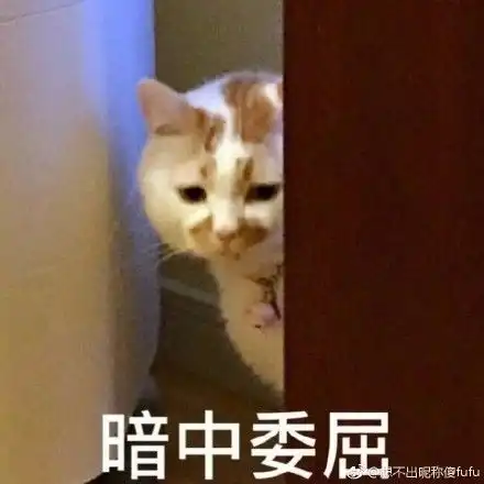  微信还信用卡也要收费了每月超5000元部分收0.1