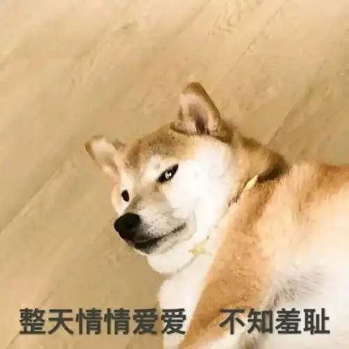  十条笑话我等于是拿着保安的工资,干了歌星的工作,真是不容易
